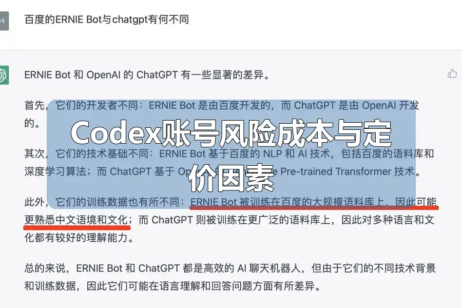 Codex账号风险成本与定价因素